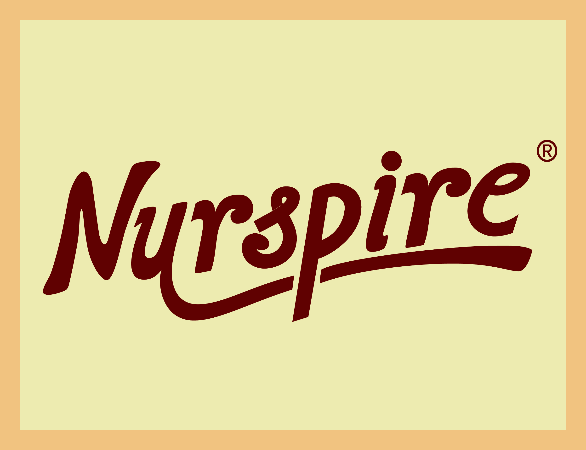 Logo of NURSPIRE - the research product that is the 'nursing work climate profiler'