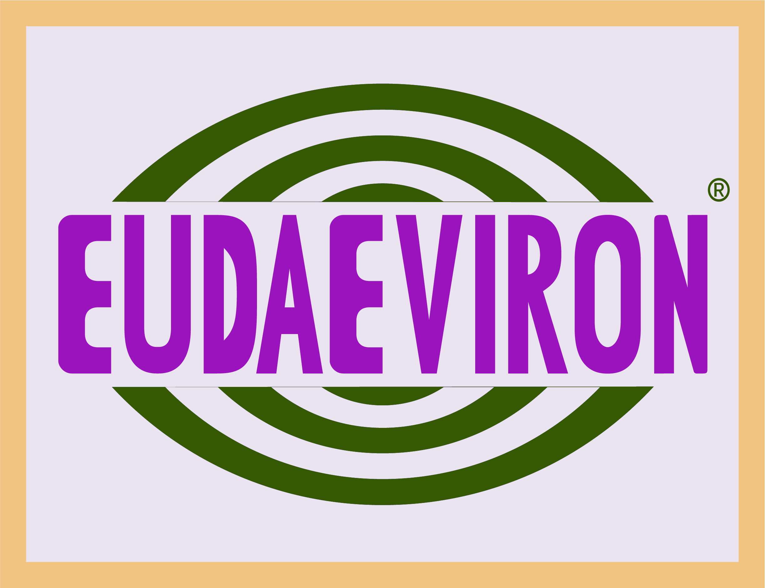 Logo of EUDAEVIRON - the research product that is the 'healing environment profiler'