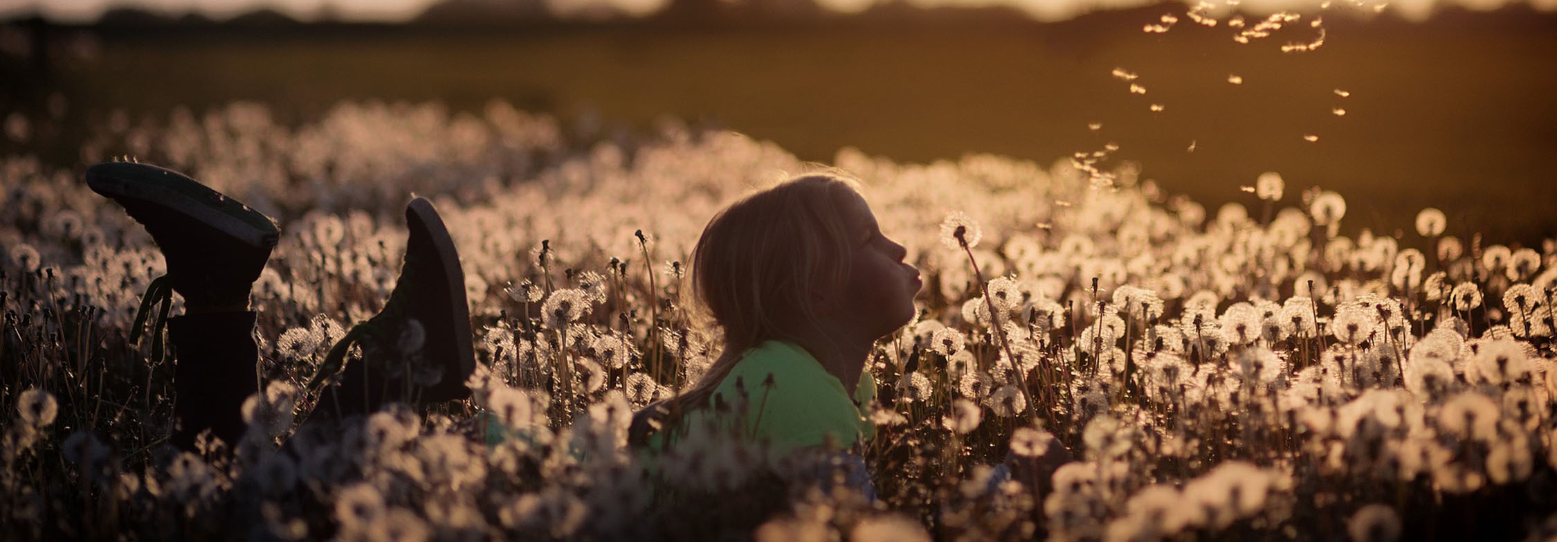 Girl in a dandelion field with dandelion seeds in flight signifying learning, growth and development