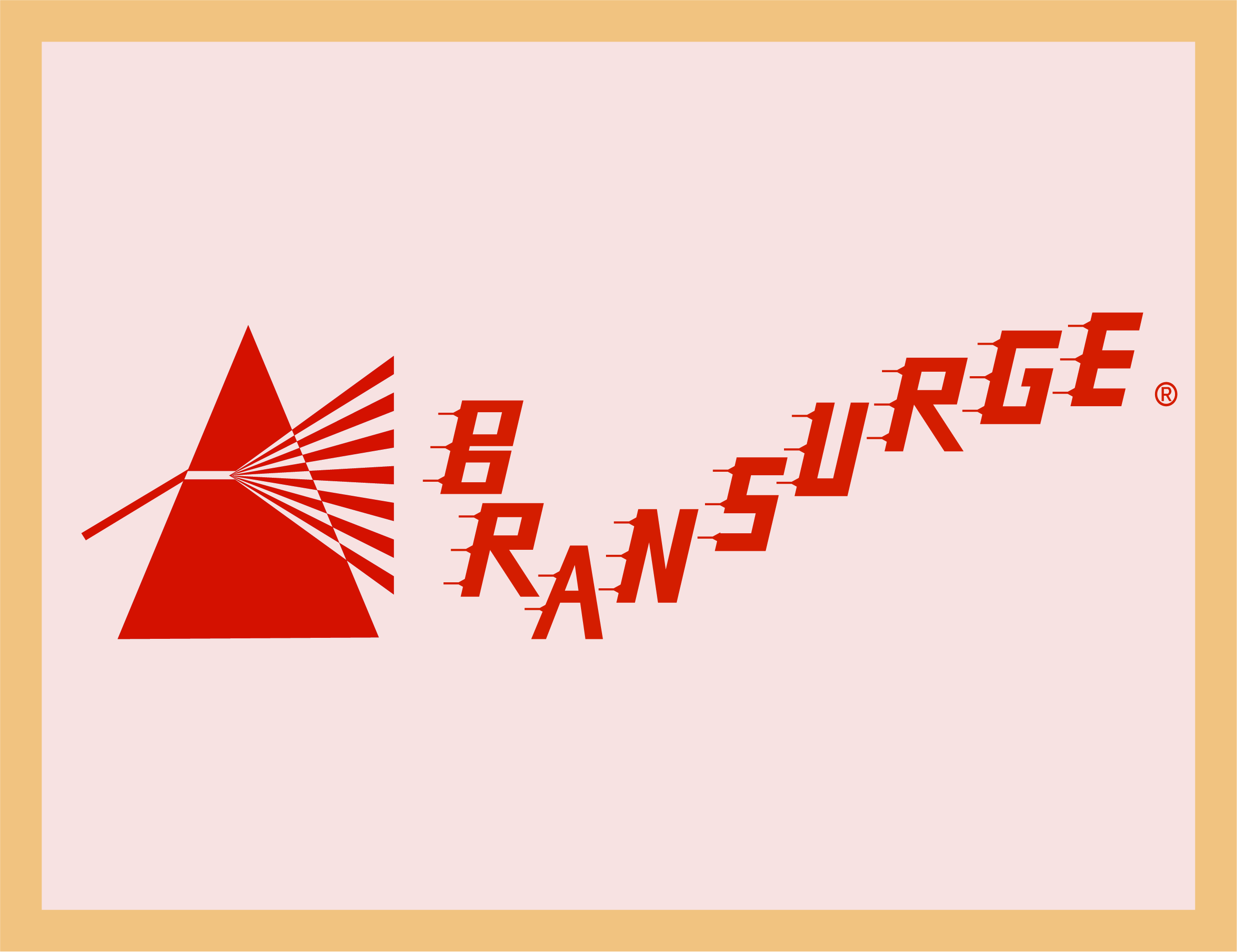 Logo of BRANSURGE - the research product that is the 'marketing strategy assessor'