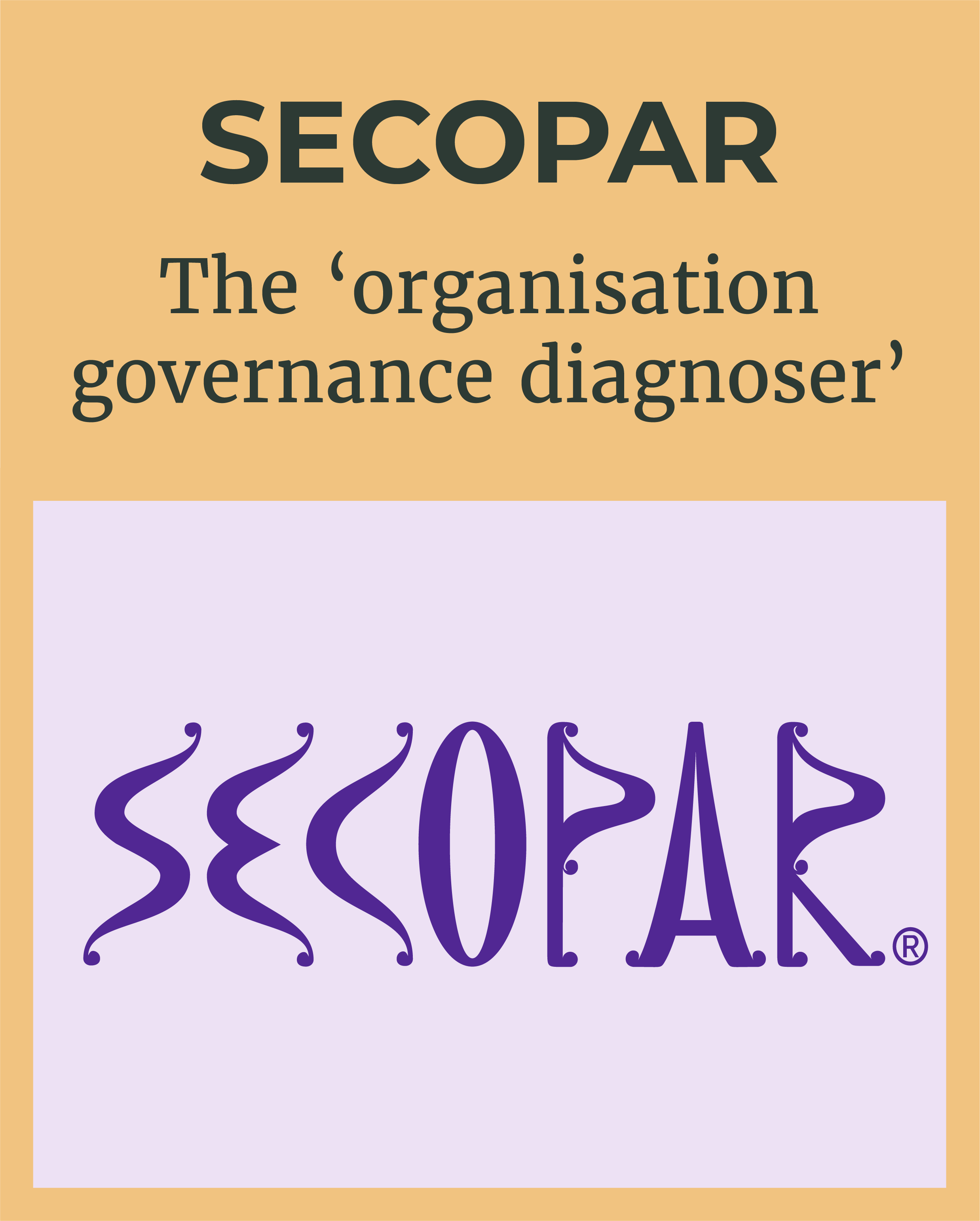Logo of SECOPAR - the research product that is the 'organisation governance diagnoser'