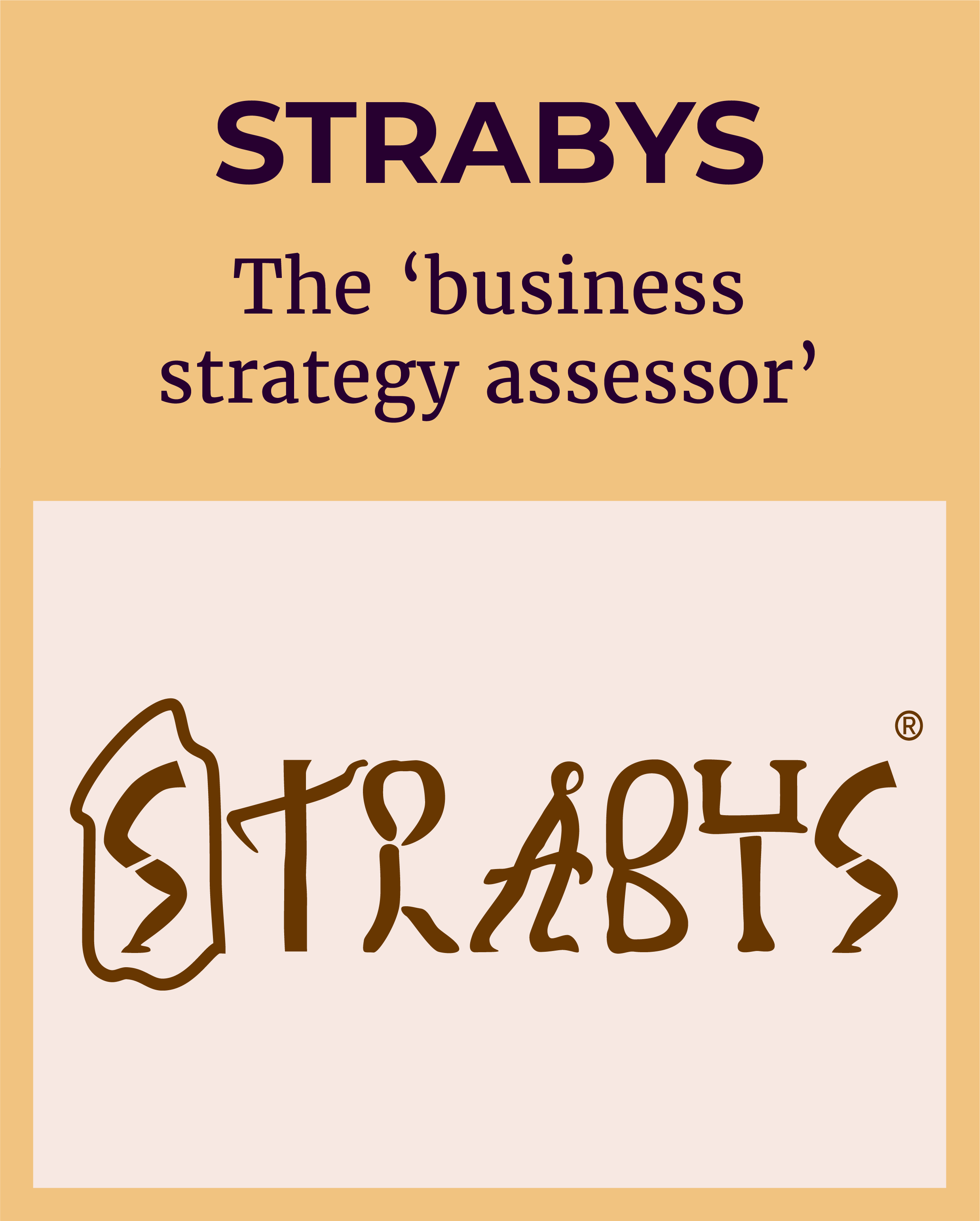 Logo of STRABYS - the research product that is the 'business strategy assessor'